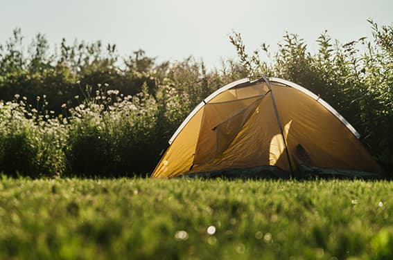 Domaine de la Pinède - Passage / Nuit
